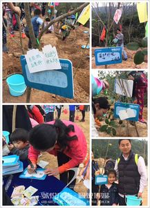 碧桂園植樹(shù)節(jié) 佩悅傳媒以專(zhuān)業(yè)公關(guān)策劃，賦能綠色品牌行動(dòng)